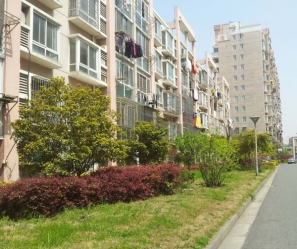 灌南陶然居小区